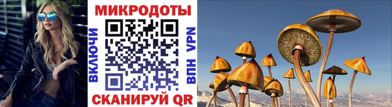 Галлюциногенные грибы GOLDEN TEACHER KRAKEN вход Ладушкин